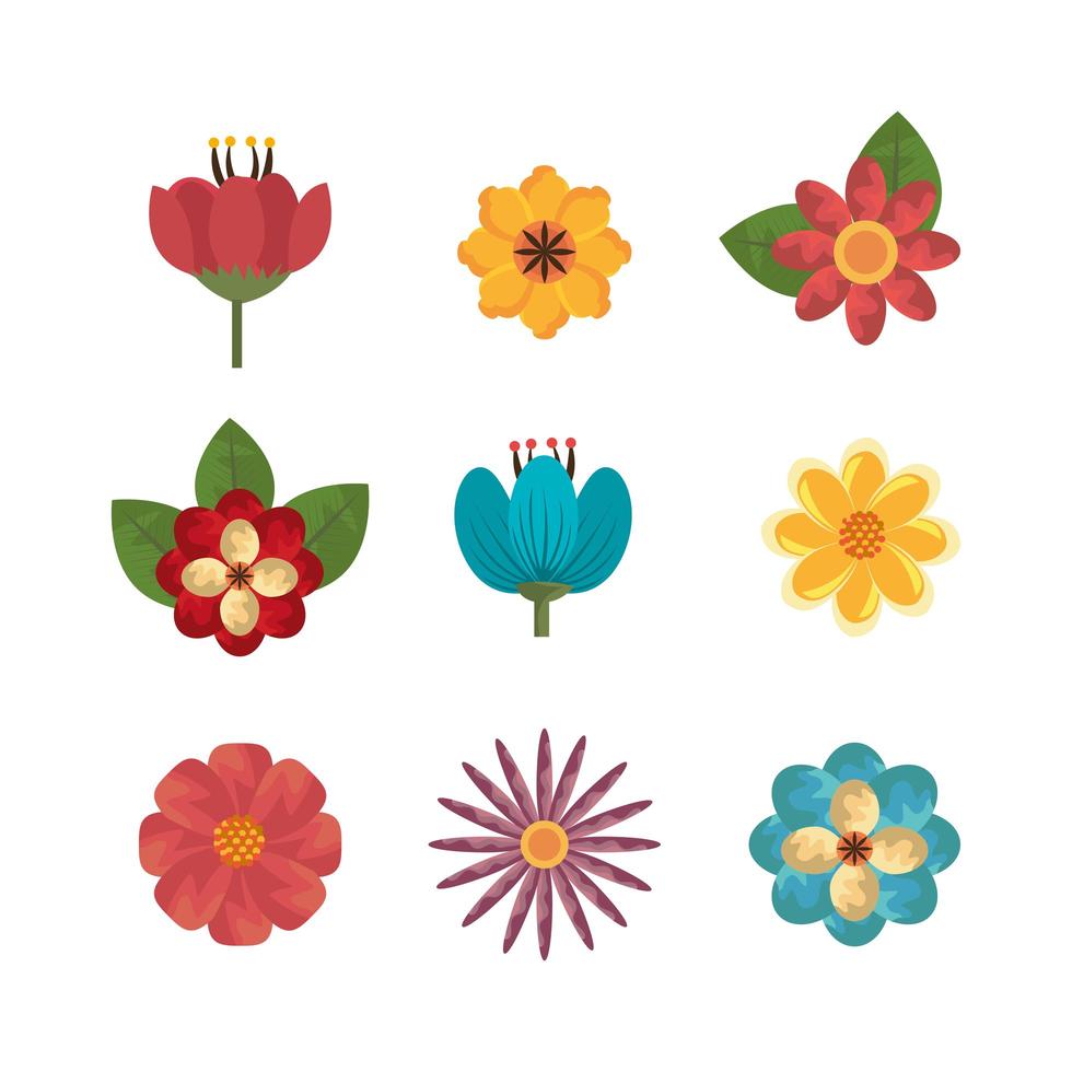 bundle of flowers naturals icons vector