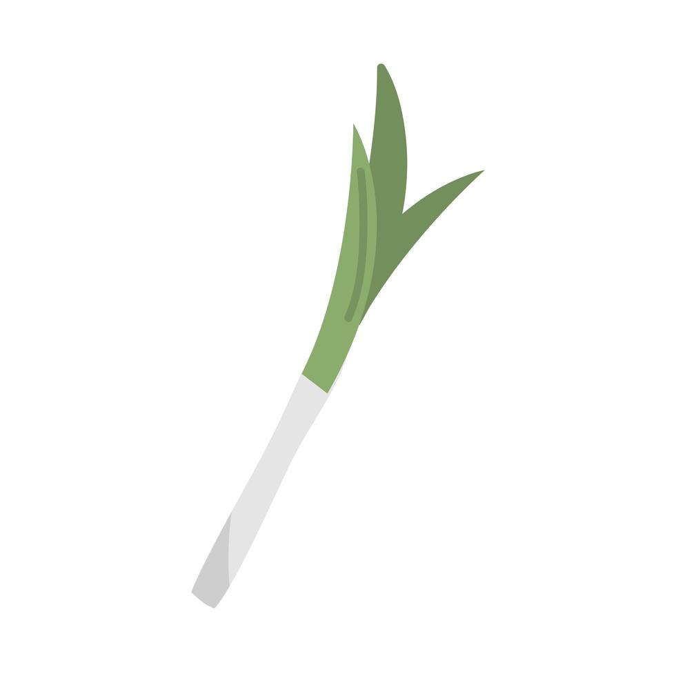 leek vegetable icon vector design