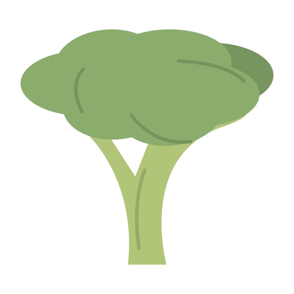 broccoli vegetable icon vector design