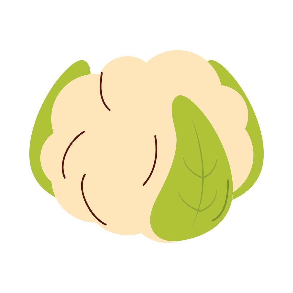 diseño de vector de icono de vegetales de coliflor