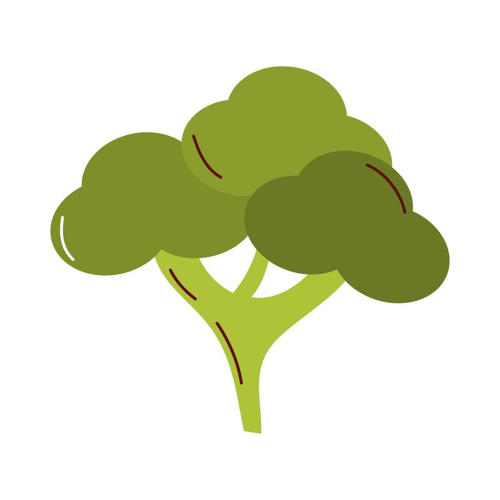 broccoli vegetable icon isolated vector design