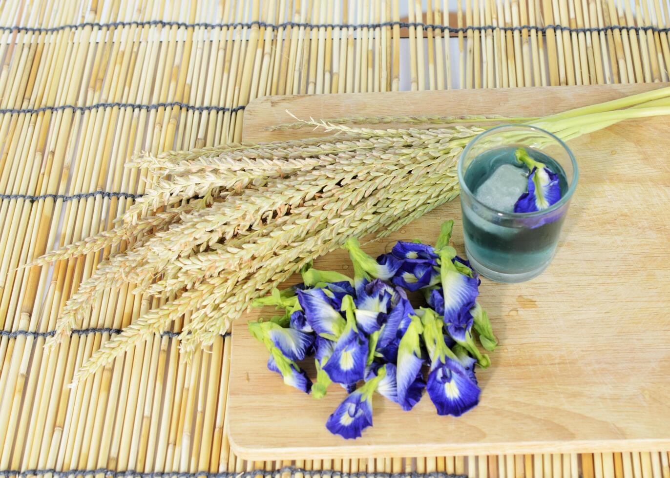 bebida azul con flor de guisante de mariposa a base de hierbas foto