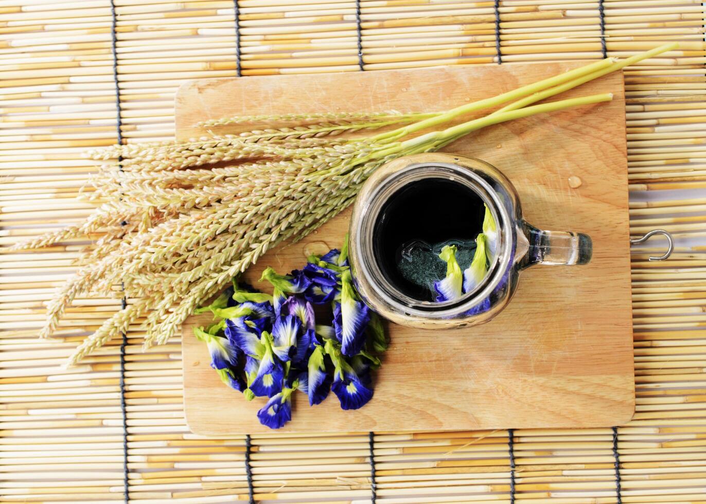 Blue drink with butterfly pea flower herbal photo