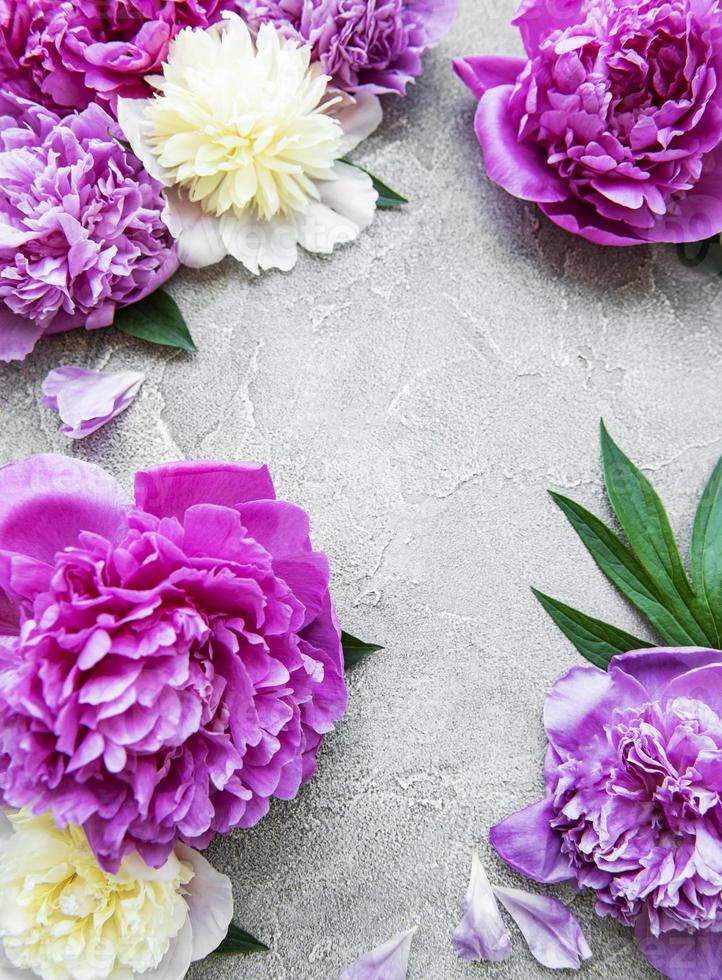 Peony flowers on a grey concrete background photo