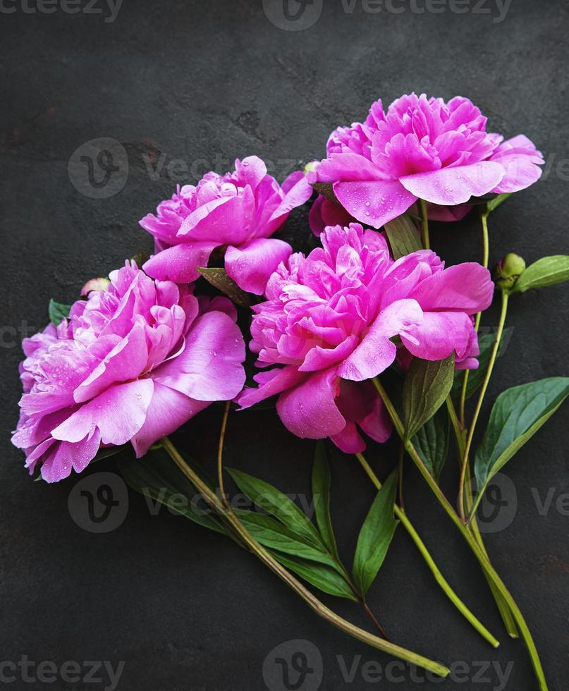 Peony flowers on a black concrete background photo