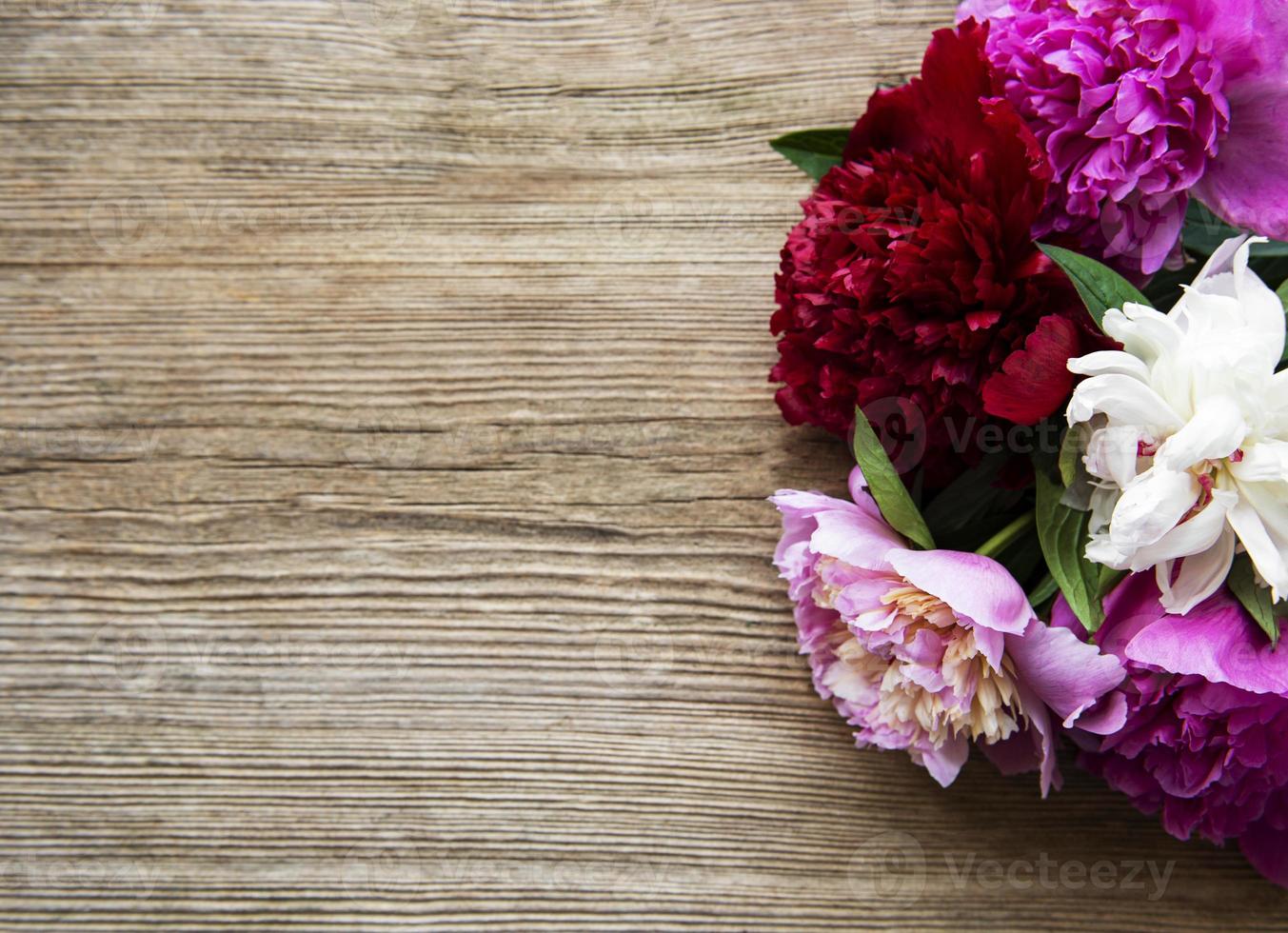 Pink peony flowers as a border photo