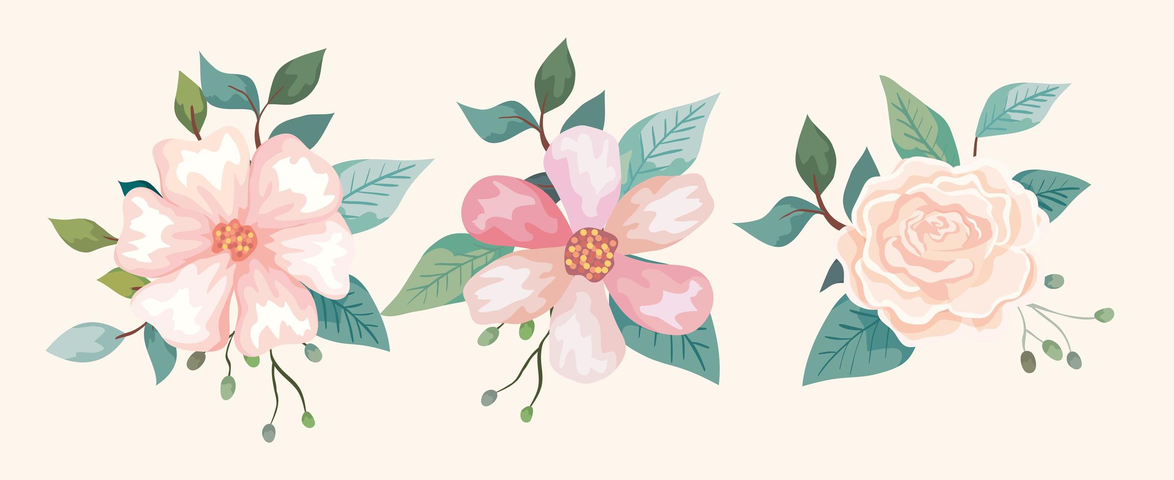 set of flowers with branches and leafs vector