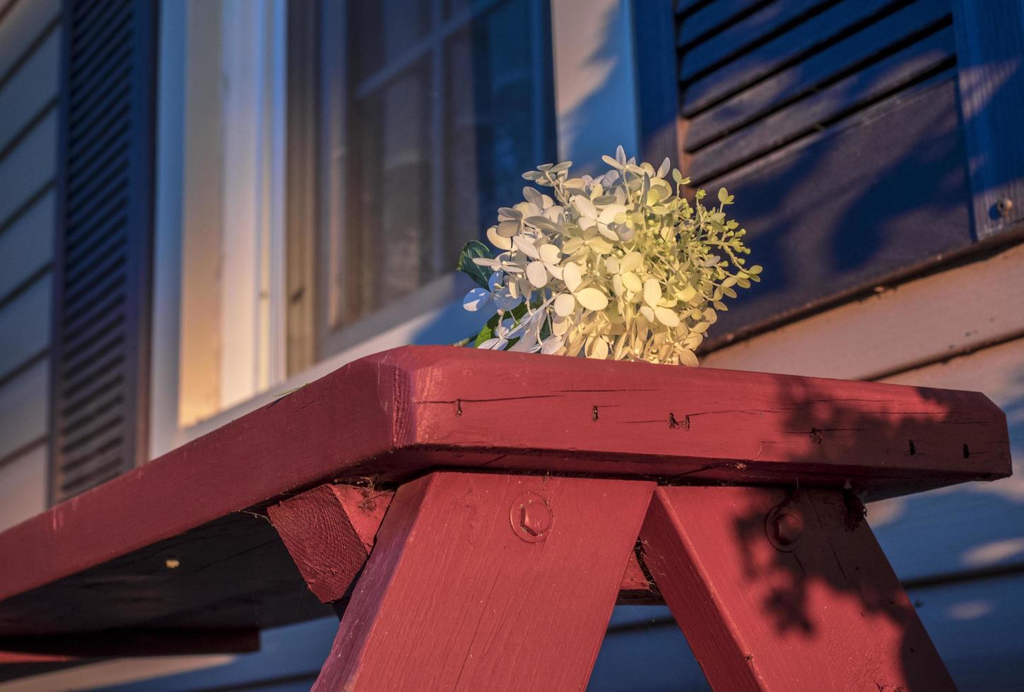 Flower on a wooden bench. photo