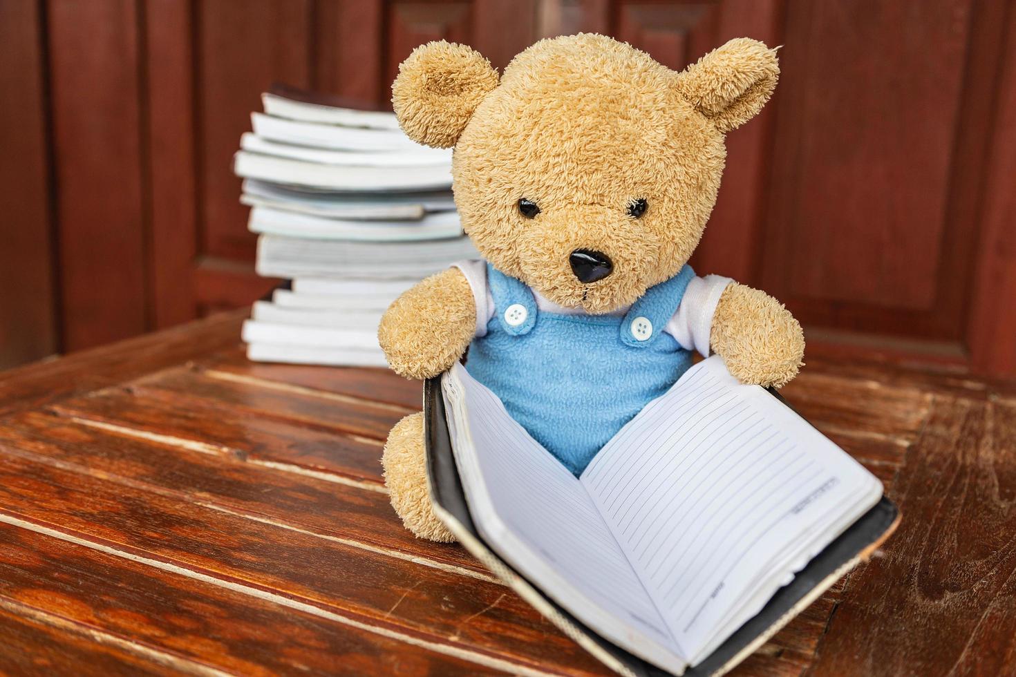 el oso de peluche está sentado leyendo un libro leyendo conceptos foto