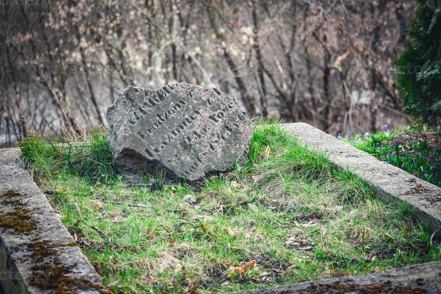 Broken gray grave stone withe letters on grass and leafless hedge background photo