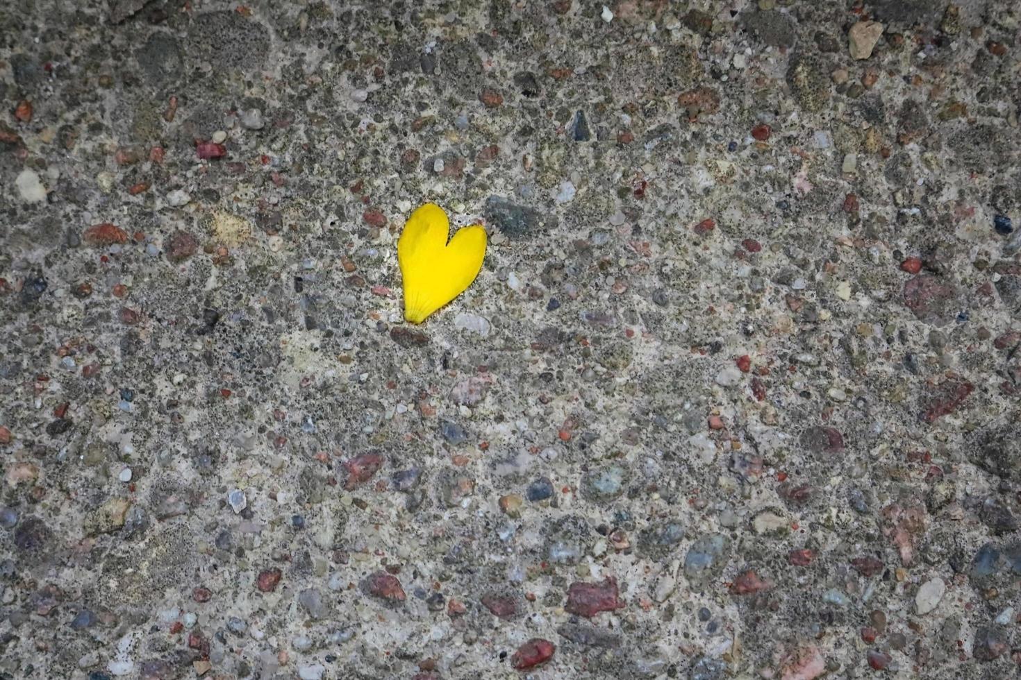 Yellow petal heart lying on paved road with colorful pebbles photo