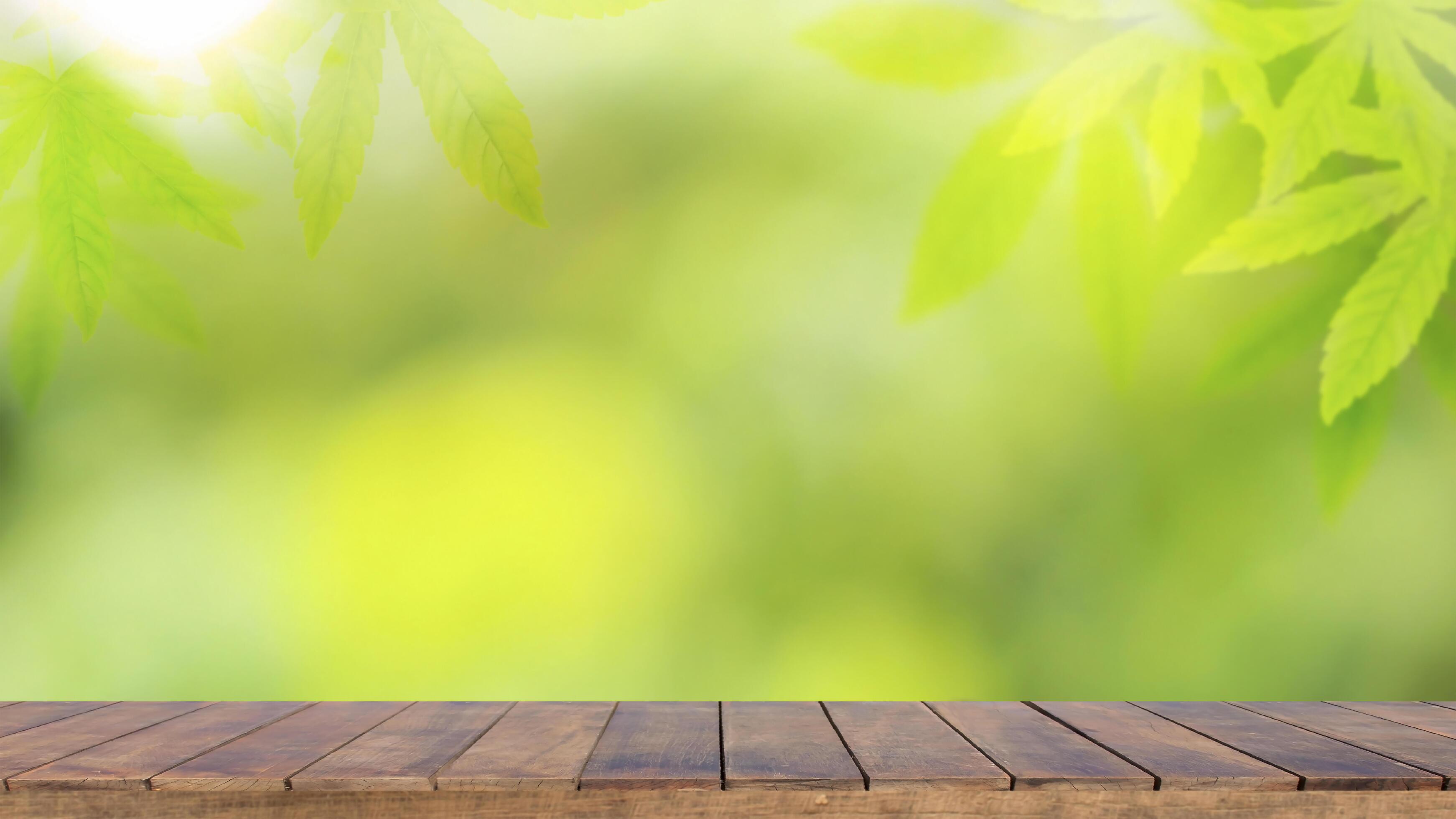 Wooden table background with cannabis leaf backdrop and blurred green nature backdrop for