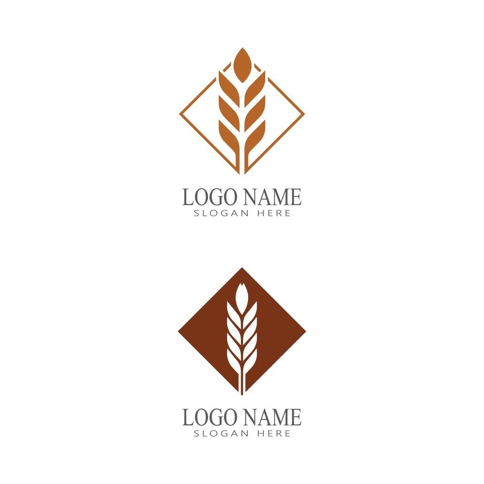 Agriculture wheat vector icon design