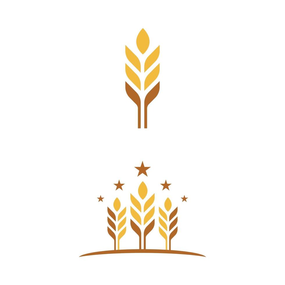 Agriculture wheat vector icon design