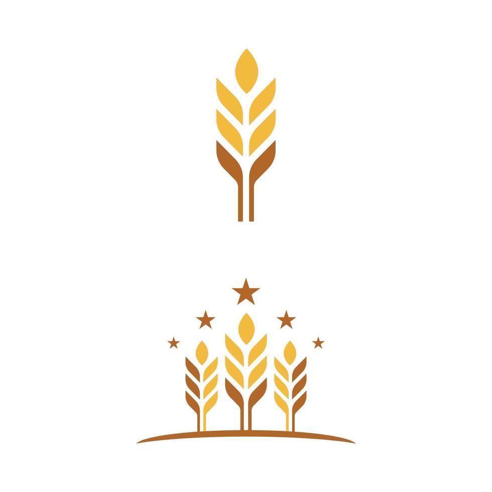 Agriculture wheat vector icon design