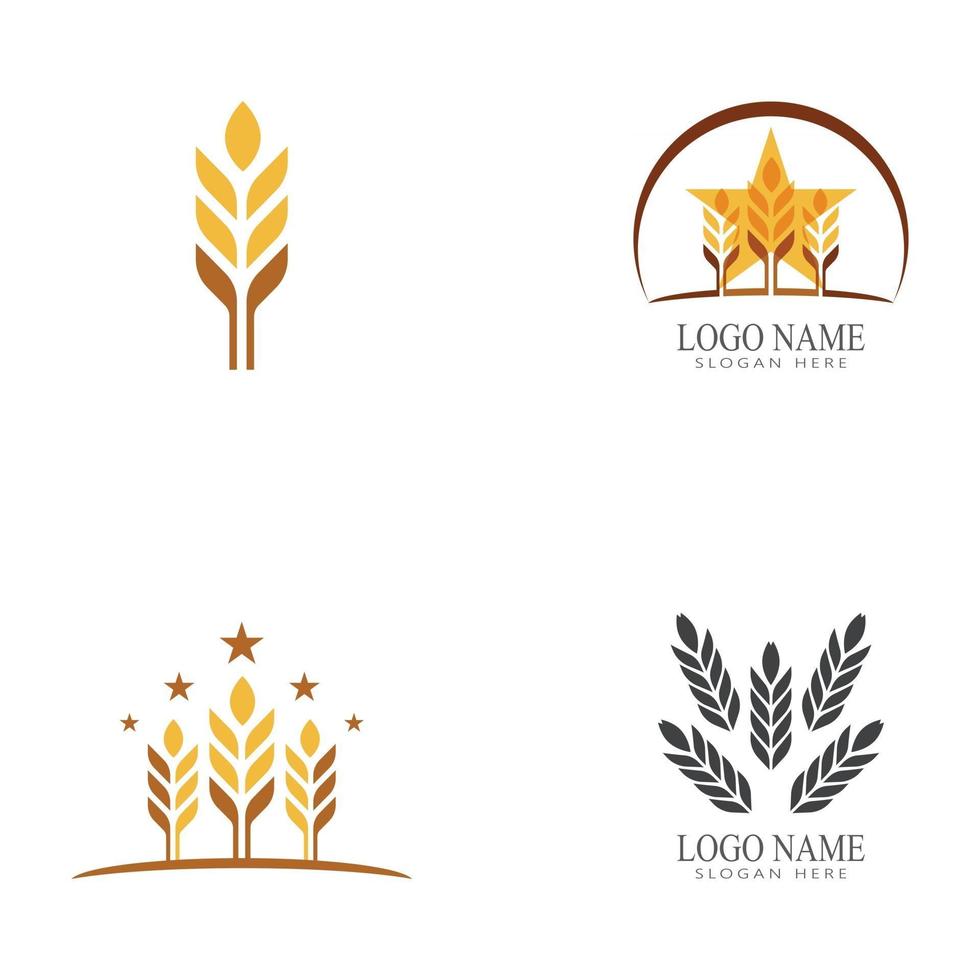 Agriculture wheat vector icon design