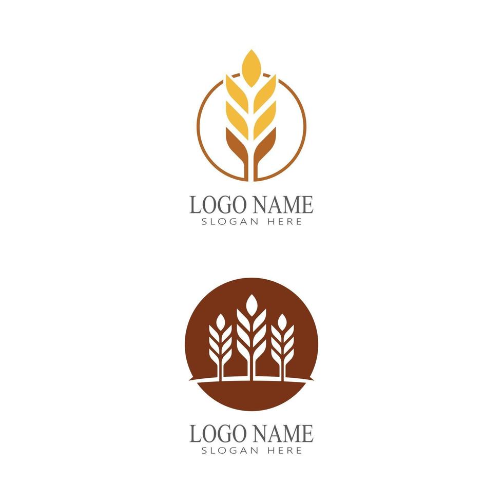 diseño de icono de vector de trigo de agricultura