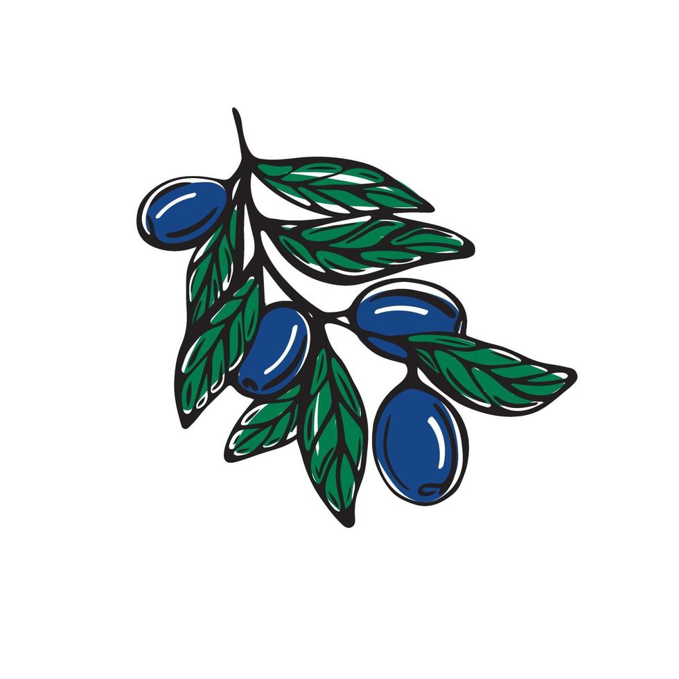 A hand-drawn branch with olives isolated on a white background. Vector illustration in Doodle style