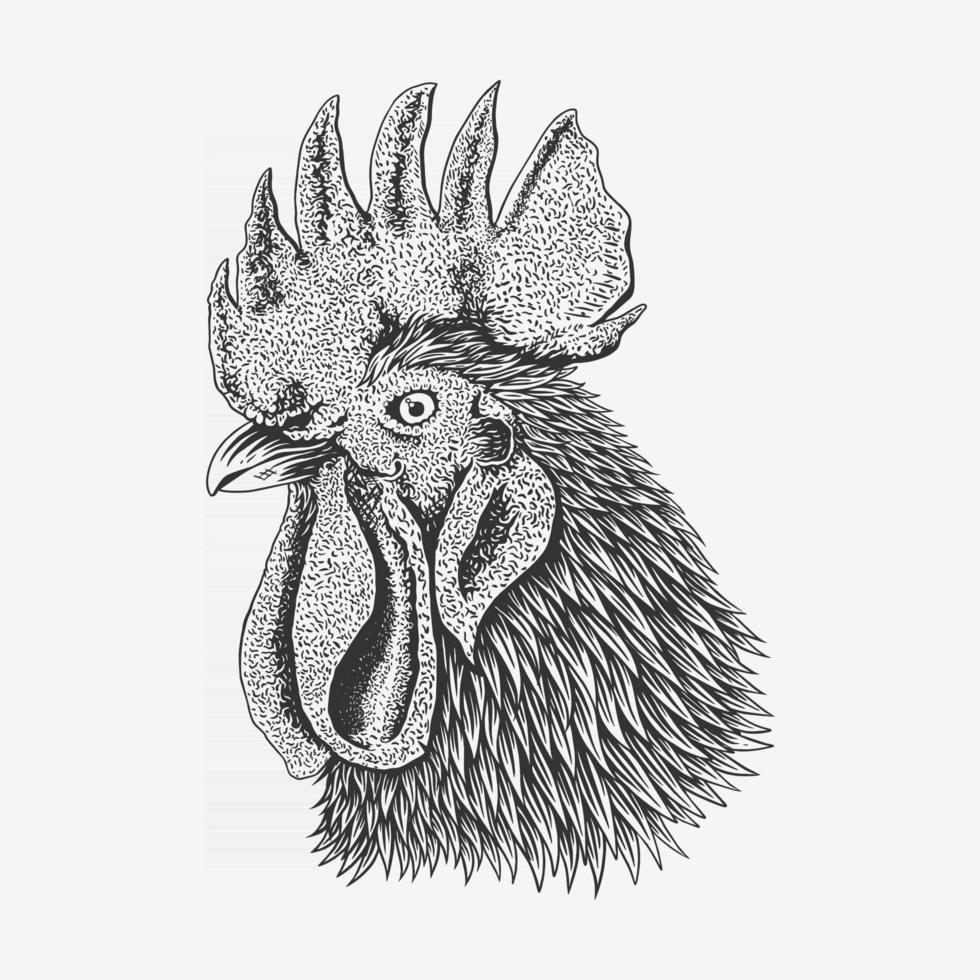 boceto retrato de pollo aislado sobre fondo blanco con lápiz.Ilustración de vector de cabeza de gallo dibujado a mano. vector premium