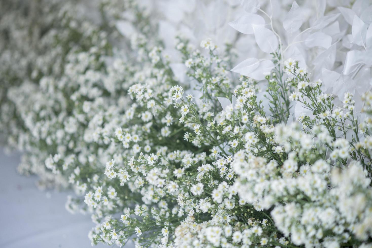 telón de fondo de boda con flores y decoración de boda foto