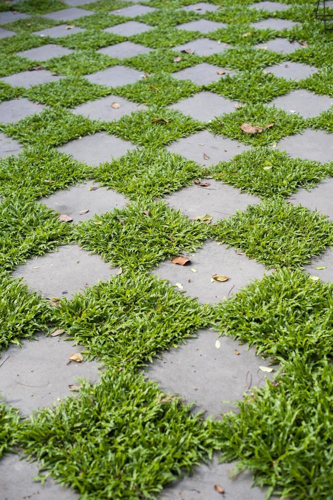 Stones in a path, checkered on the grass photo