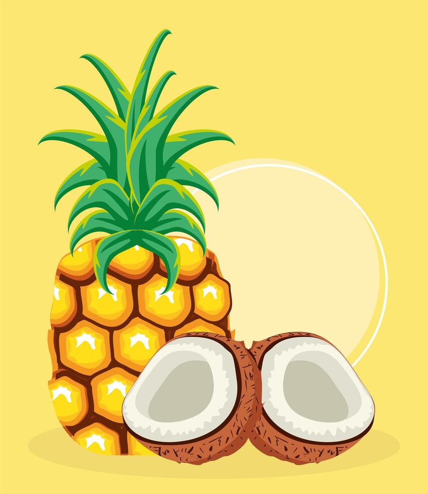 tropical fruits, pineapple and coconut vector