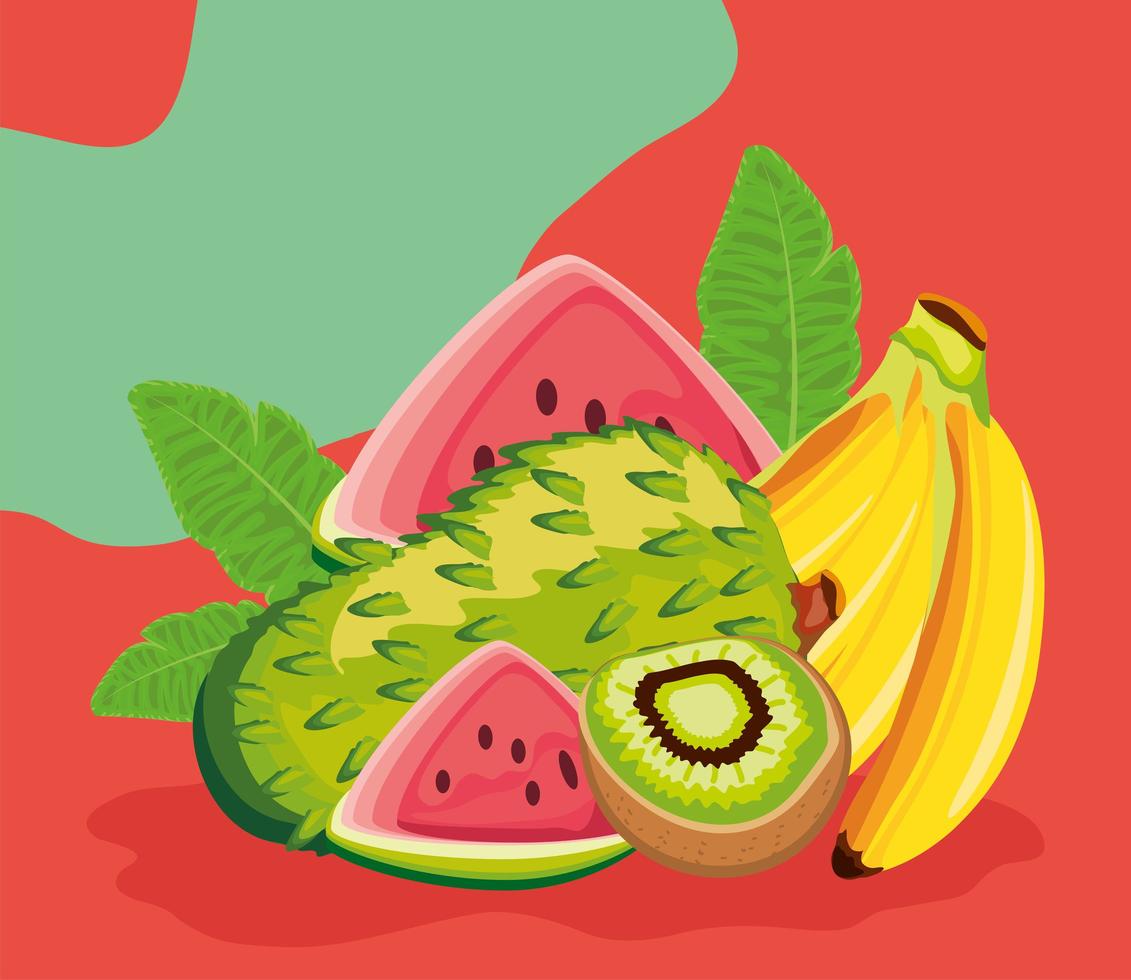 tropical fruits, soursop, kiwi and banana vector