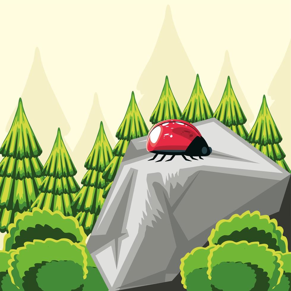 landscape, forest and trees with a ladybug vector