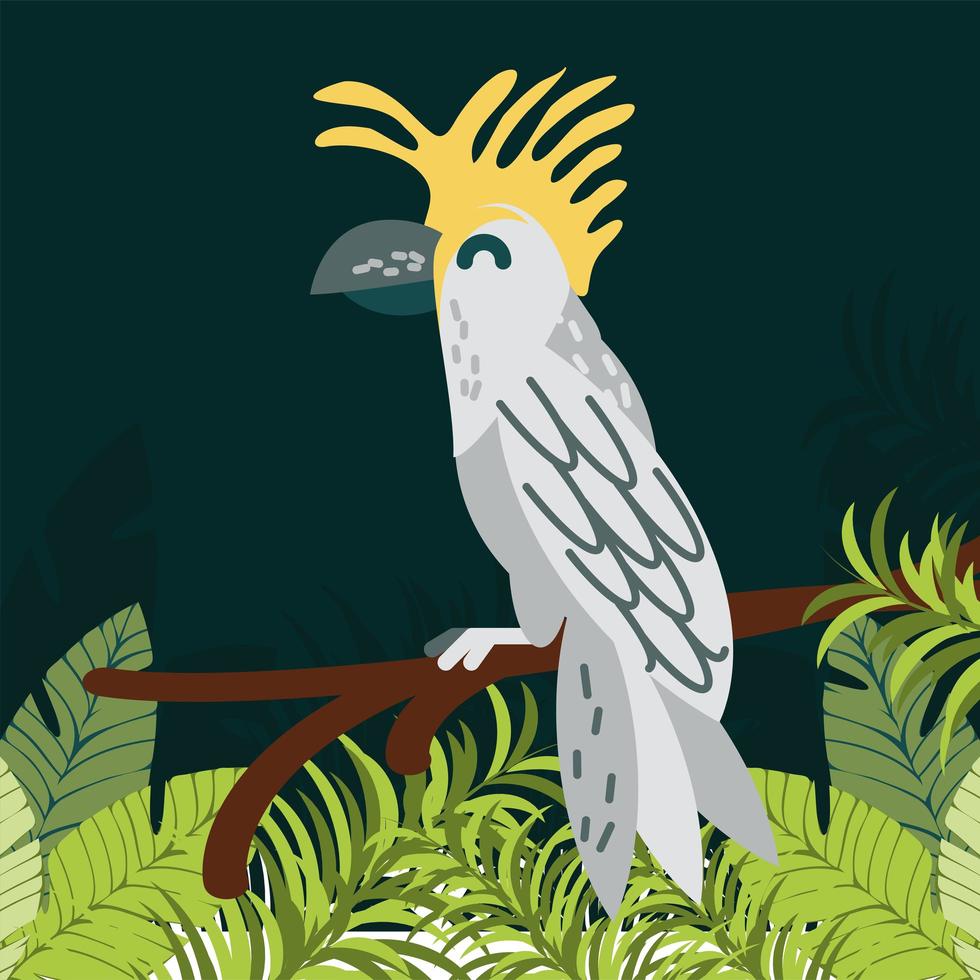 cockatoo in the branch foliage vector