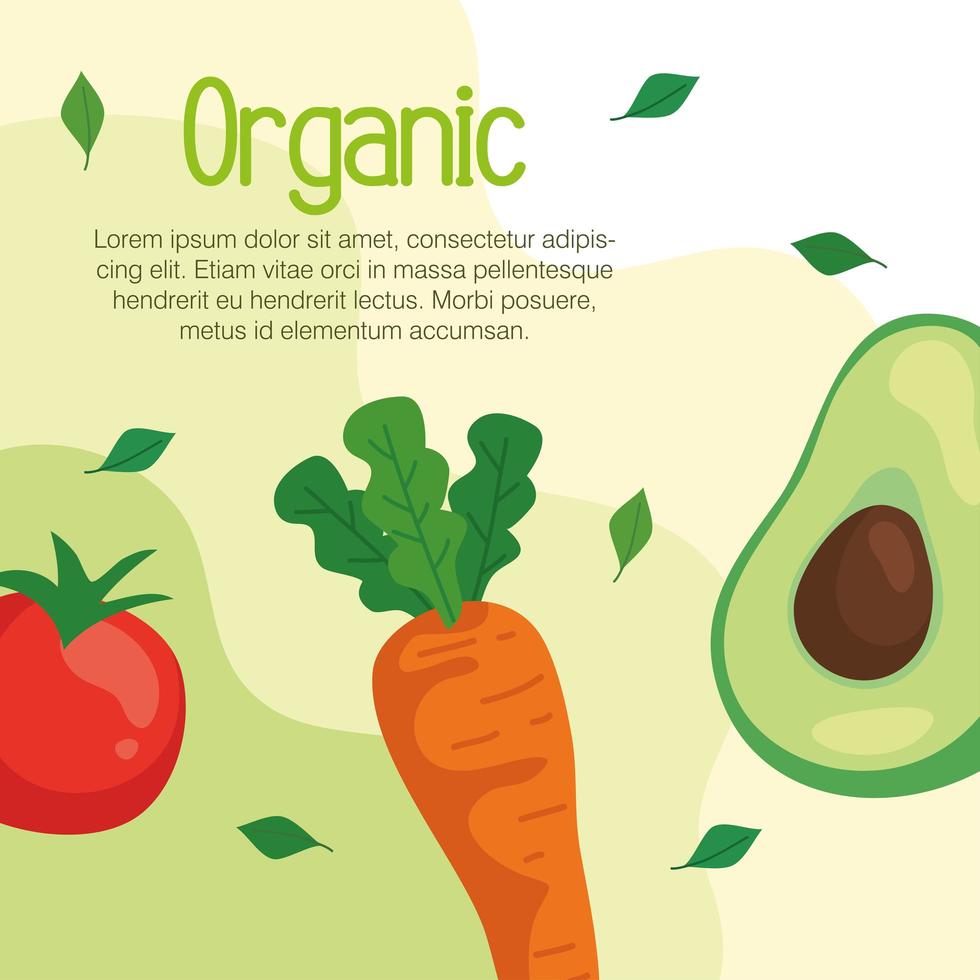 banner con verduras orgánicas, concepto de comida sana vector