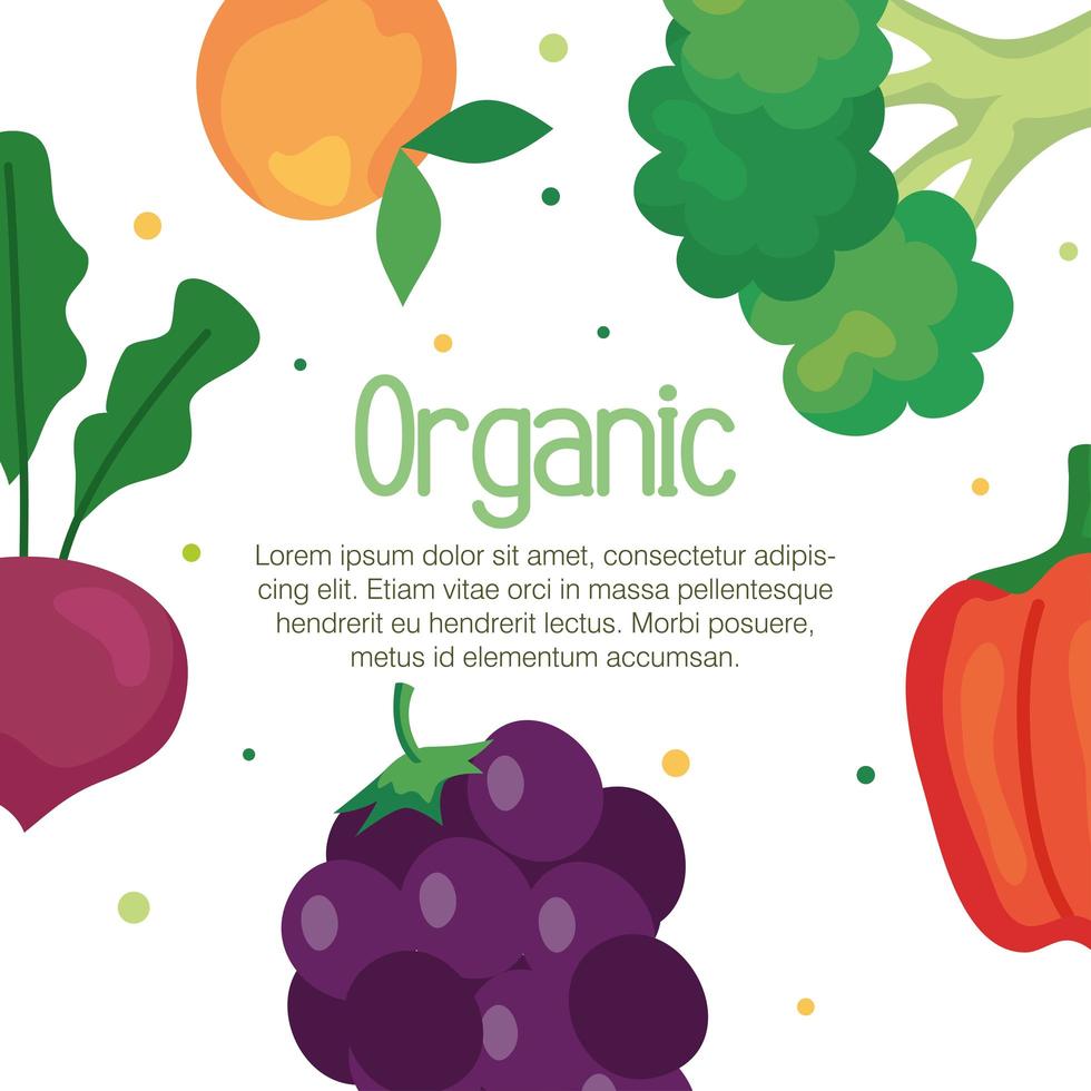 banner of fruits and vegetables organic, concept healthy food vector