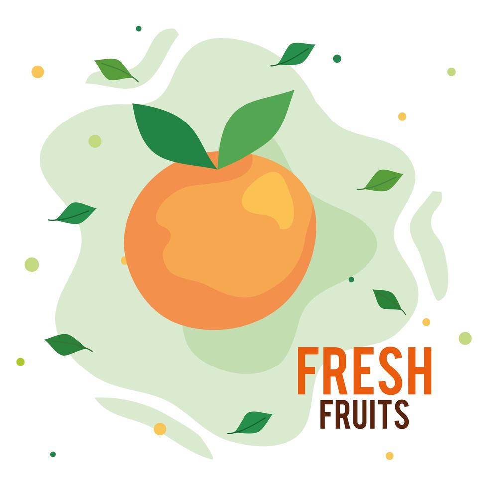 Banner de fruta fresca, deliciosa naranja, concepto de comida sana vector