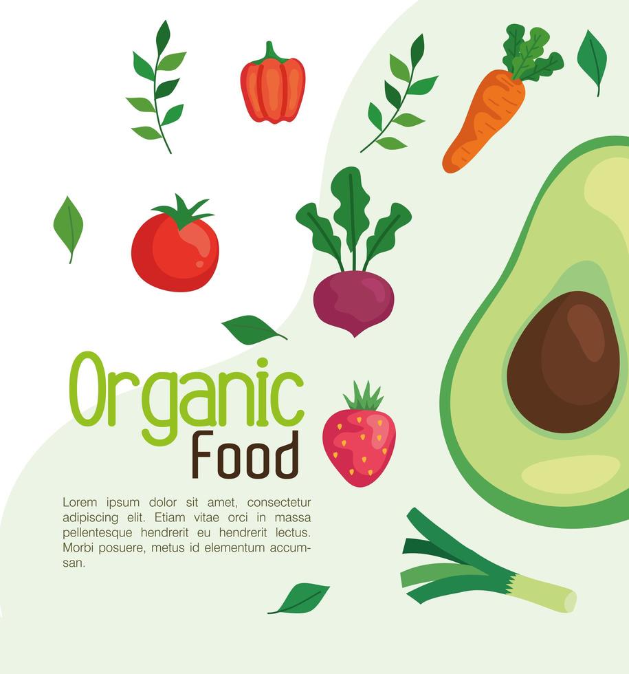 banner with organic food, vegetables and fruits, concept healthy food vector