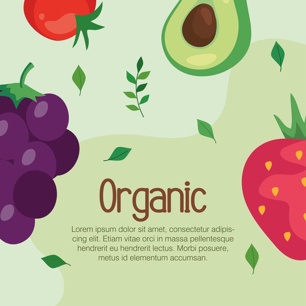 Banner con alimentos orgánicos, verduras y frutas, concepto de comida sana vector