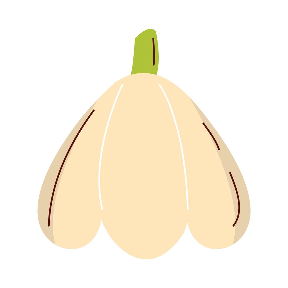 garlic vegetable icon vector design