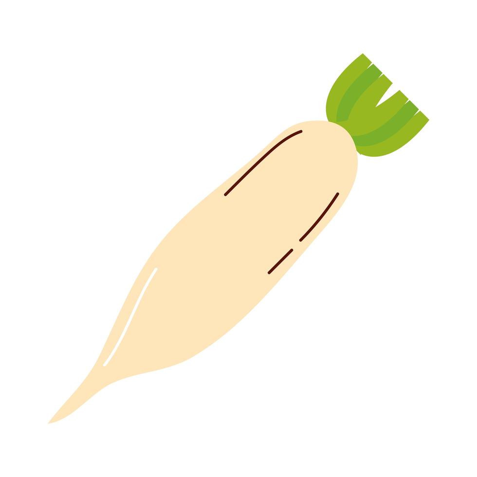 horseradish vegetable icon vector design