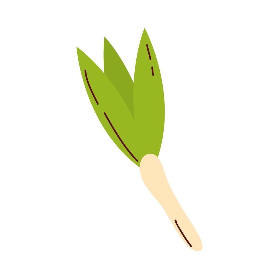 puerro vegetal icono diseño vectorial vector