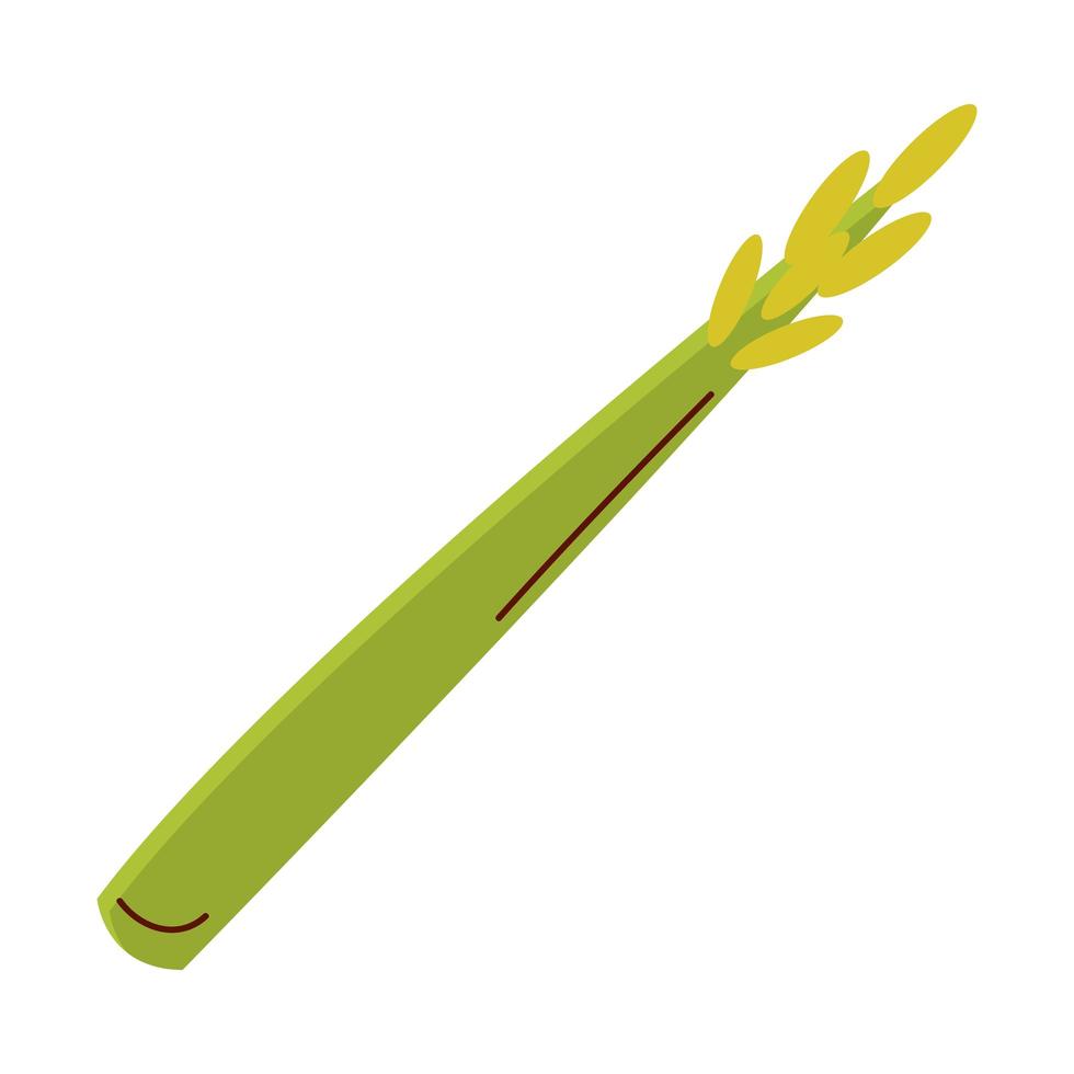 celery vegetable icon vector design