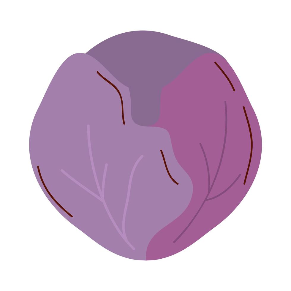 purple lettuce vegetable icon vector design