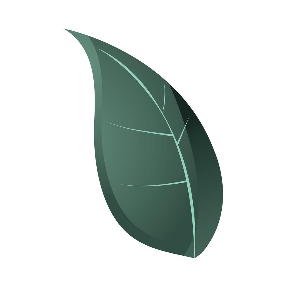 Icono de follaje de naturaleza de hoja sobre fondo blanco. vector