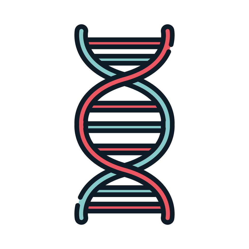 health medical dna molecule genetic line and fill vector