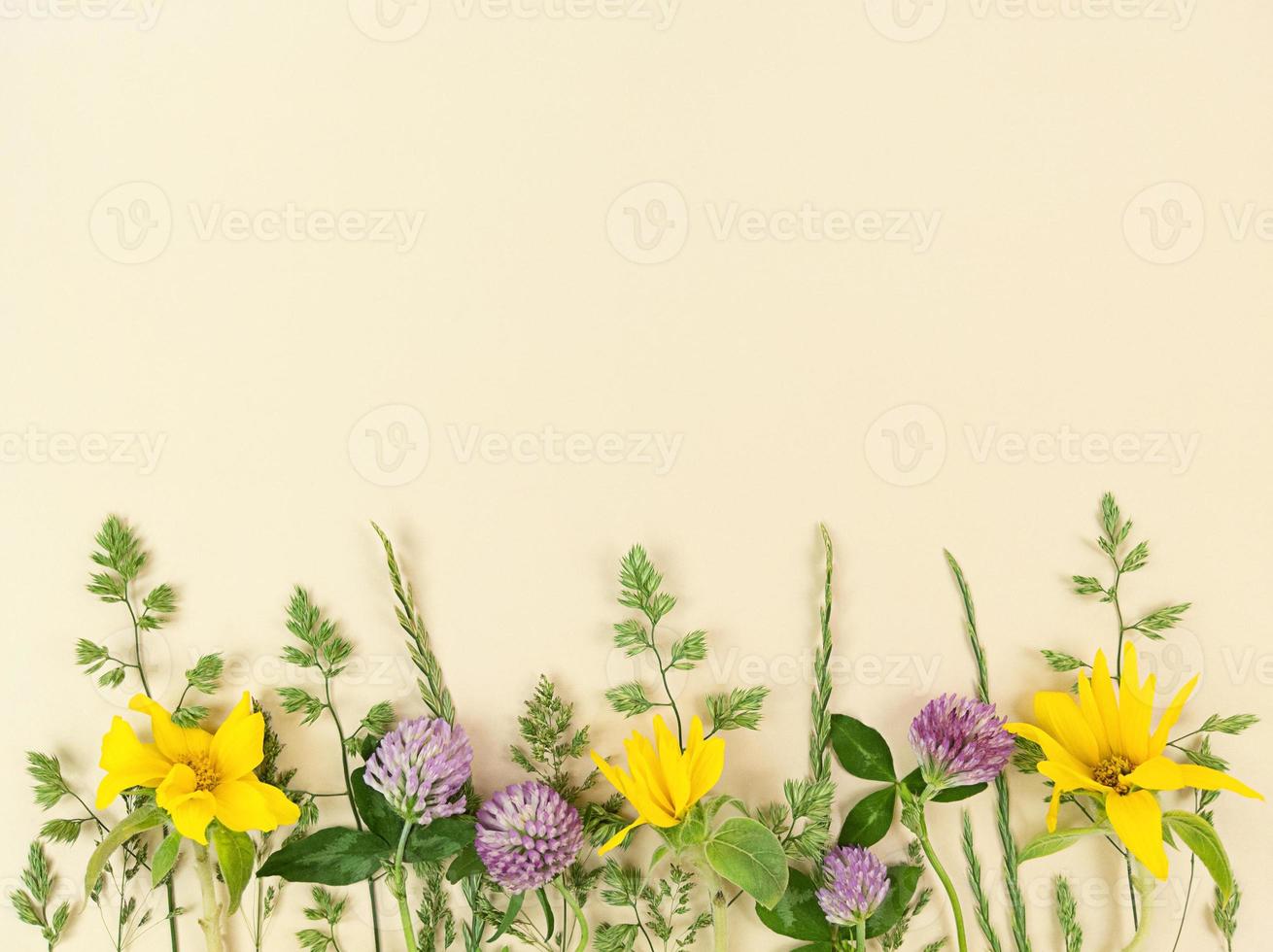 Variety of wildflowers on beige background with copy space. photo