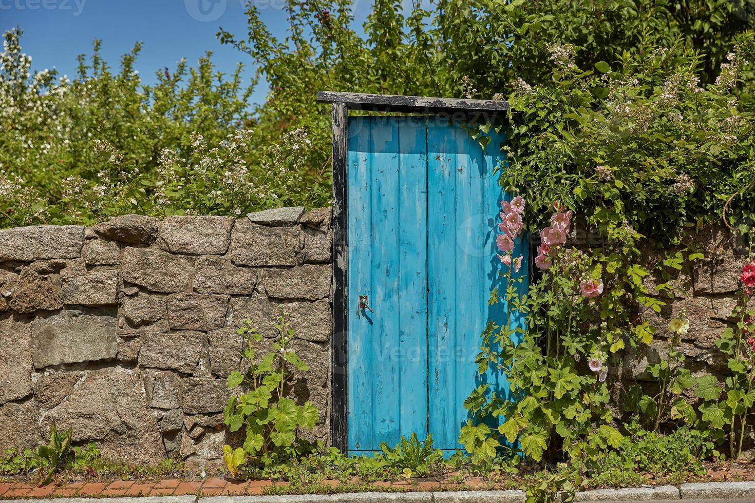 Muro de piedra y puerta azul en la isla de Bornholm en Svaneke, Dinamarca foto