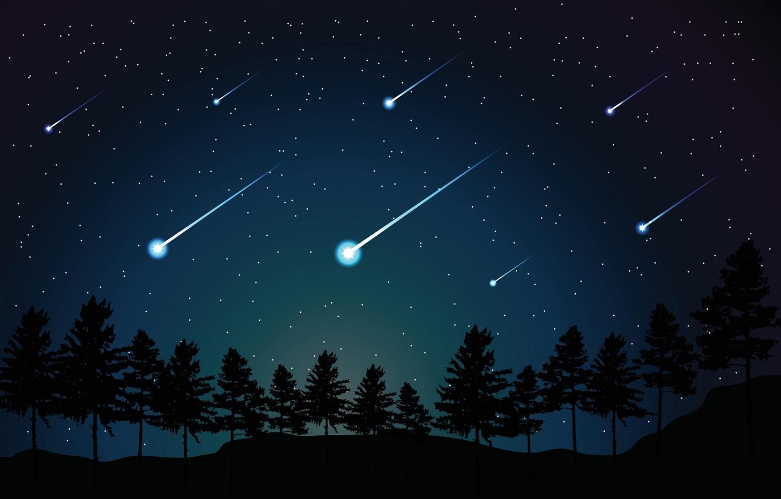 Meteor at Night in the Forest Scene vector