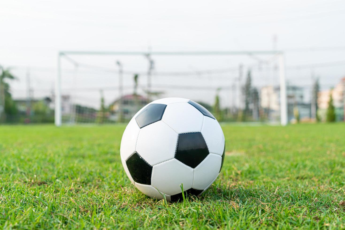 Soccer ball on the ball field photo