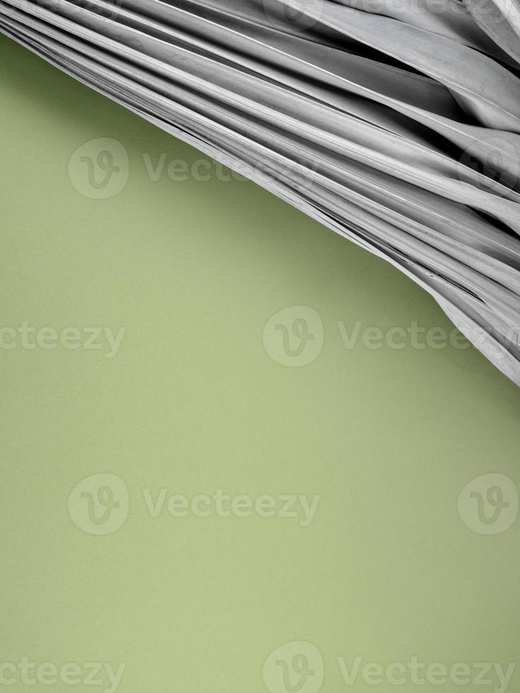 Dry beige palm leaf on fresh green background. Accommodation with space and composition for mockup, text, or design. Earth day, eco or natural theme, product display, nature concept. Vertical style. photo