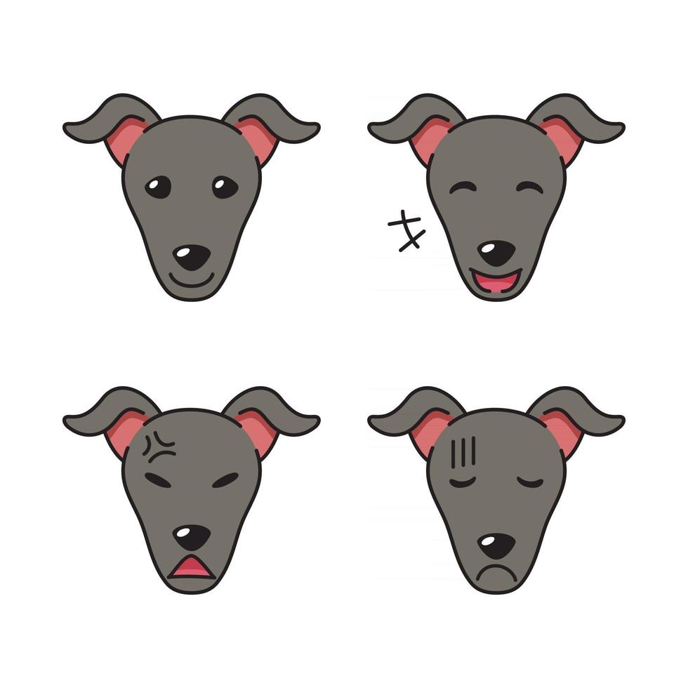 Set of greyhound dog faces showing different emotions vector