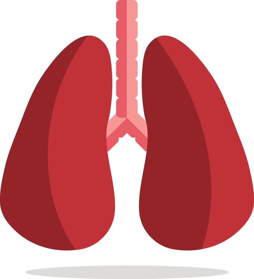icono de pulmón, estilo plano, aislado sobre fondo blanco. anatomía, concepto de medicina vector