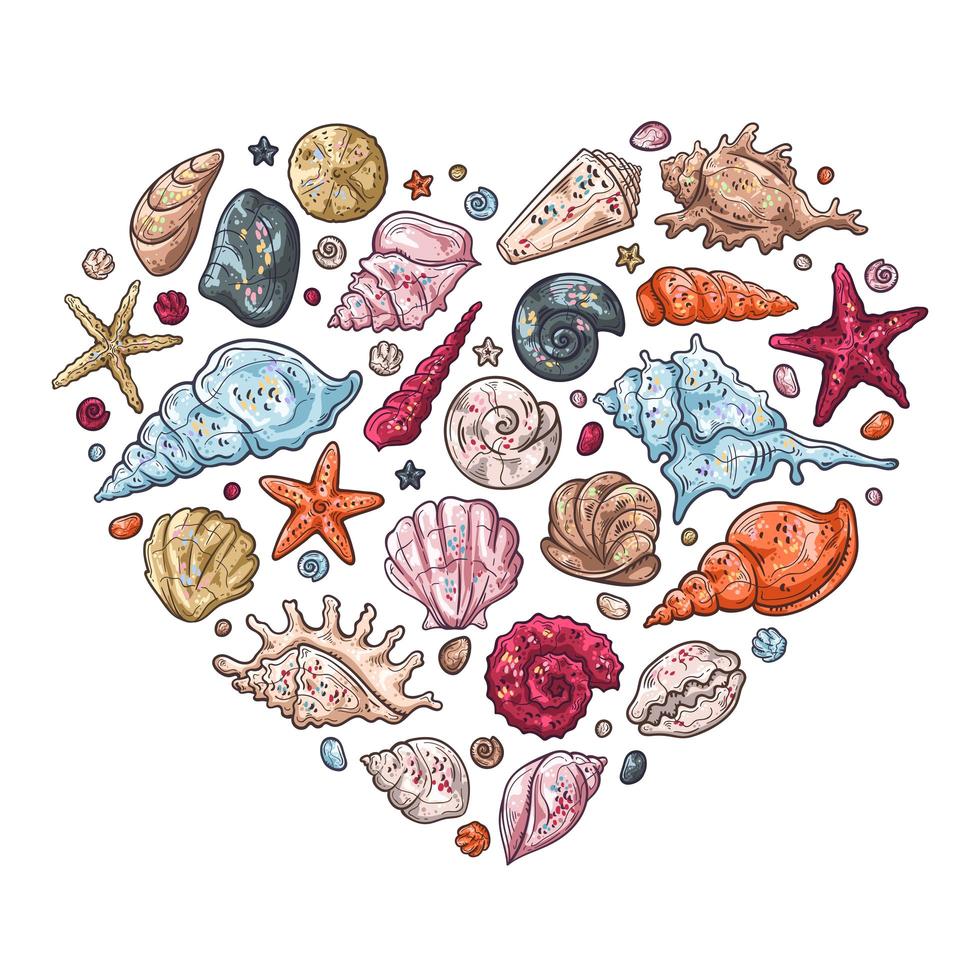ilustraciones de dibujo vectorial. diferentes tipos de conchas marinas. vector