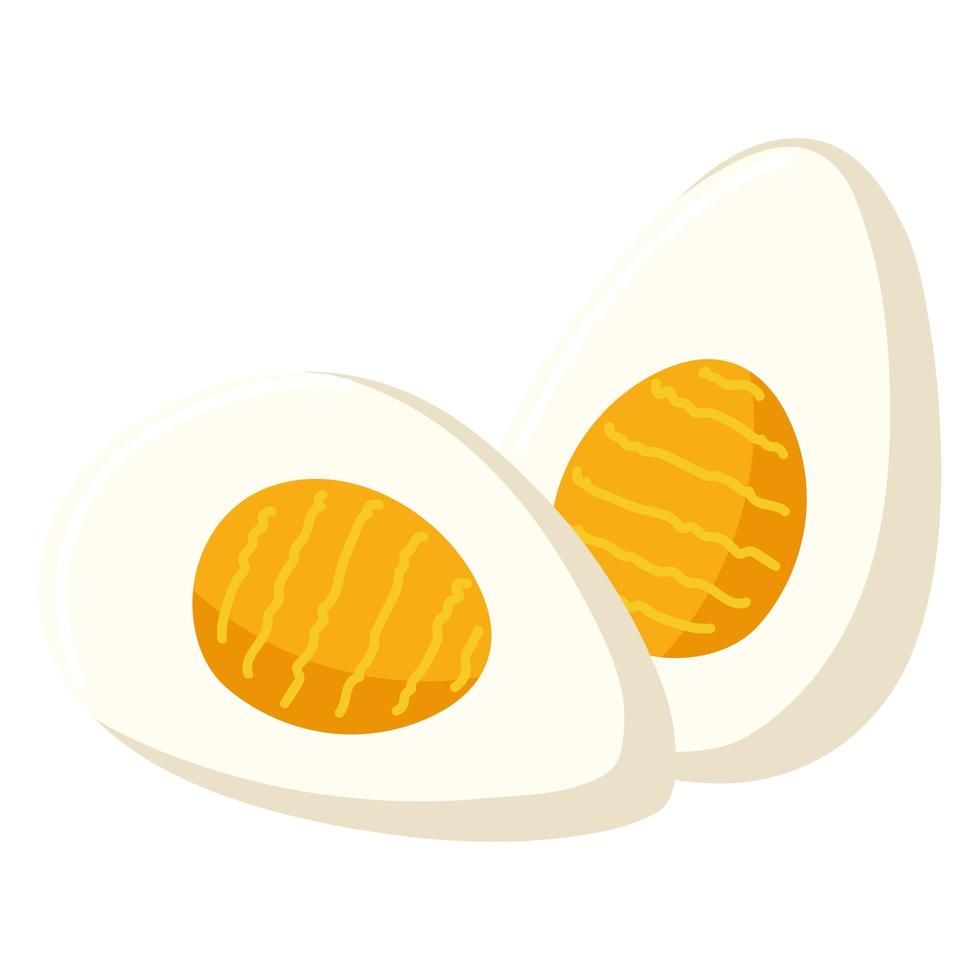 boiled egg food vector